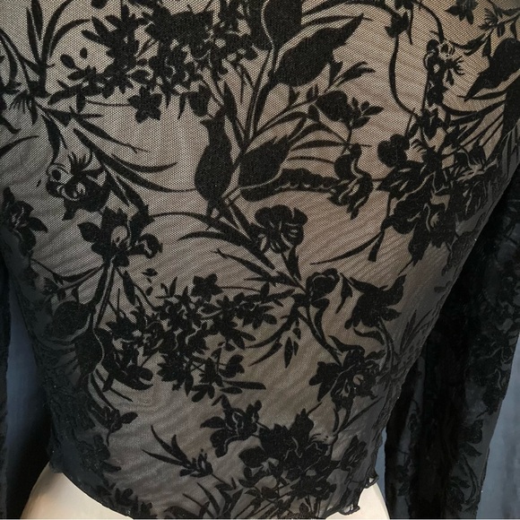 Mesh and Velvet Black Floral Lace Long Sleeve Crop Top - Picture 2 of 6